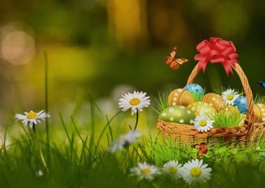 ŻYCZENIA DYREKTORA SZKOŁY