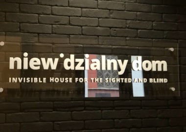 NIEWIDZIALNY DOM - WYJŚCIE KL. 1D